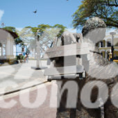 ESTATUA, METAL HOMBRE, CENTRO, CAMPECHE, ÁRBOL, KIOSKO, ARCOS, PLAZA, CALLE, DECORACIÓN, SUR DE MÉXICO, EDIFICIOS COLORIDOS, COLONIAL