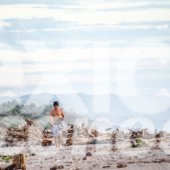 SURF, OLAS, CABAÑAS, PLAYA, MAR, MICHOACÁN, PACÍFICO, RESTAURANT, TORNEO INTERNACIONAL DE SURF, GASTRONOMÍA, RÍO OSTULA, PACÍFICO MEXICANO, OCÉANO, MUSEO DE LA TORTUGA, PALAPA, ATARDECER, HAMACA, PARADISIACO, ARENA, TORTUGAS, HUEVOS DE TORTUGAS, ANIMALES PROTEGIDOS, PELIGRO DE EXTINCIÓN, RESERVA, DESOVAR, TORTUGA MARINA, ATARDECER, CREPÚSCULO, PUESTA DE SOL