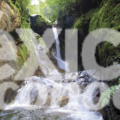 CASCADA, RÍO, CAÑÓN, VERACRUZ, IGNACIO DE LA LLAVE, ORIZABA, NOGALES, BARRANQUISMO, ECOTURISMO, TURISMO DE AVENTURA, VEGETACIÓN, NATURALEZA, GOLFO DE MÉXICO, HILOS DE PLATA, MONTAÑISMO